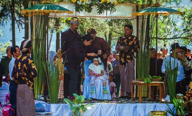 Apakah rambut gimbal anak-anak Dieng tumbuh secara alami?
