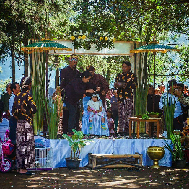 Apakah rambut gimbal anak-anak Dieng tumbuh secara alami?